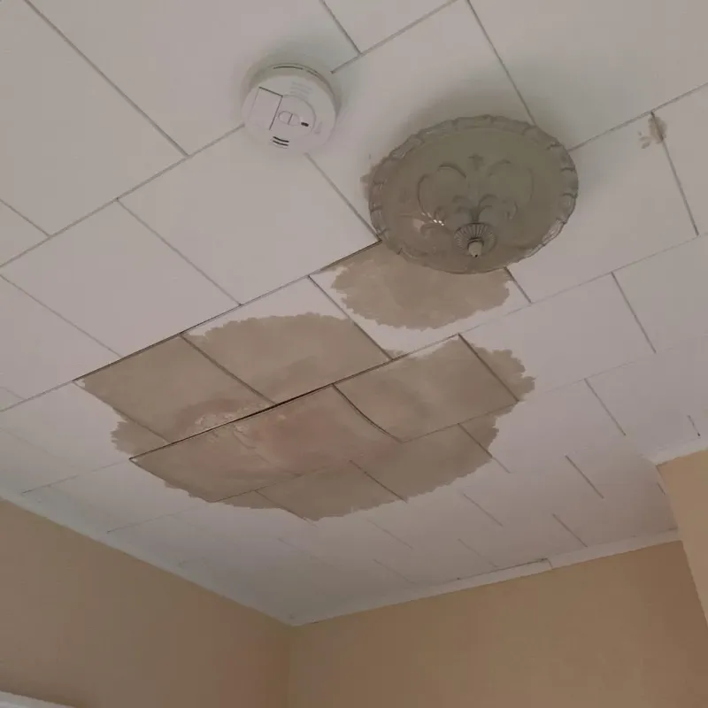 Ceiling Water Damage Repair in Linton Hall, VA