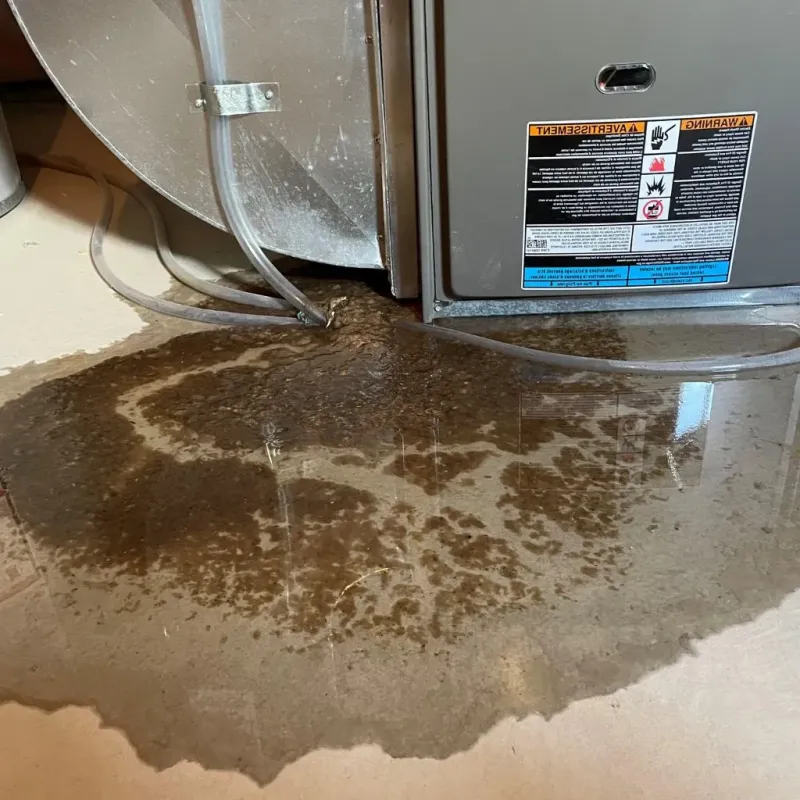 Pipe Burst and Leak Restoration in Linton Hall, VA